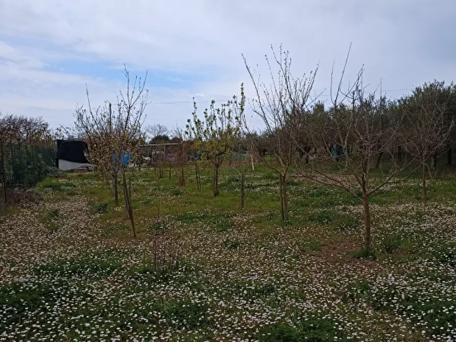 Immagine 3 di Terreno in vendita  in Strada della Fabbrina 50 a Pesaro