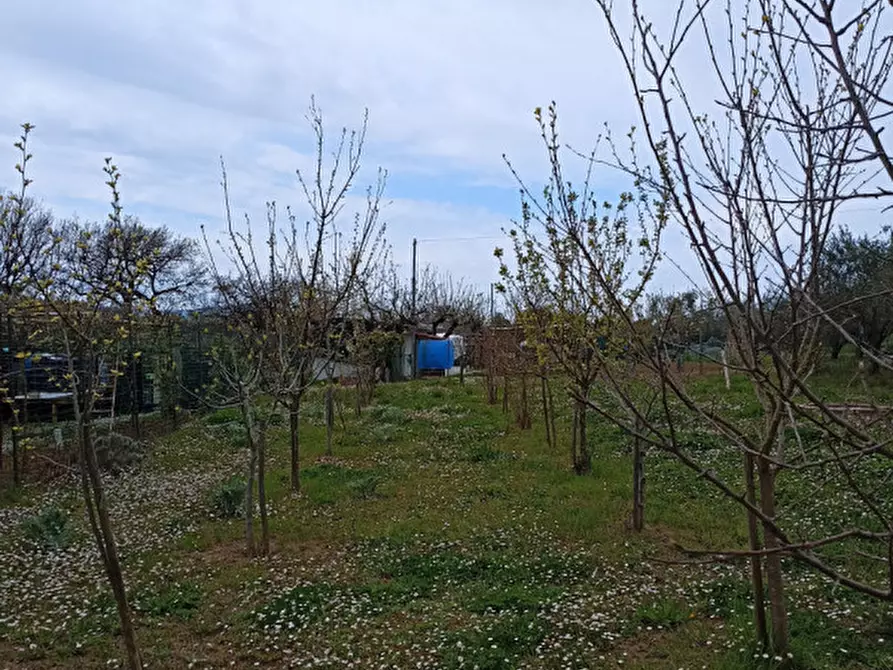 Immagine 4 di Terreno in vendita  in Strada della Fabbrina 50 a Pesaro
