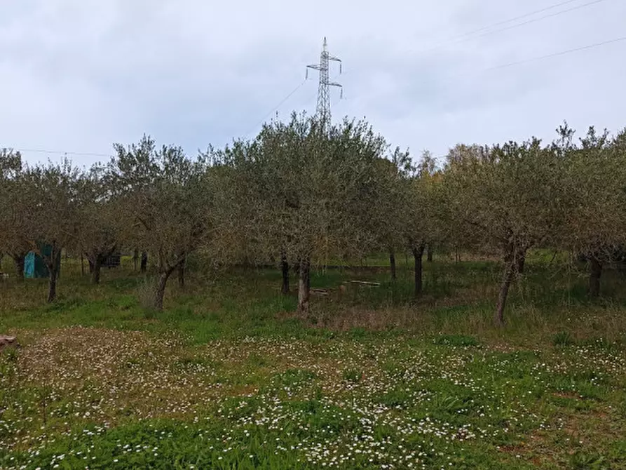 Immagine 5 di Terreno in vendita  in Strada della Fabbrina 50 a Pesaro
