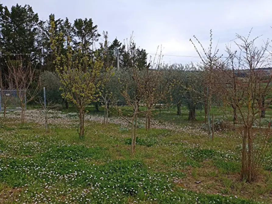 Immagine 6 di Terreno in vendita  in Strada della Fabbrina 50 a Pesaro