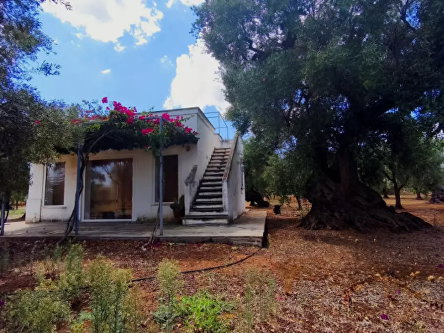 Immagine 3 di Casa indipendente in vendita  in San Domenico a Fasano