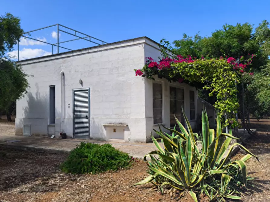 Immagine 5 di Casa indipendente in vendita  in San Domenico a Fasano