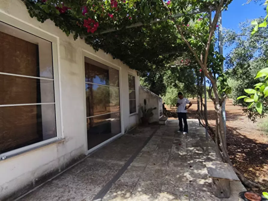 Immagine 6 di Casa indipendente in vendita  in San Domenico a Fasano