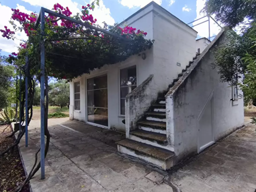 Immagine 7 di Casa indipendente in vendita  in San Domenico a Fasano