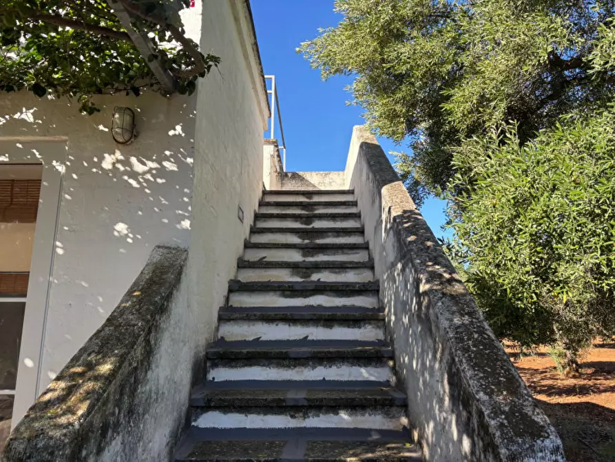 Immagine 9 di Casa indipendente in vendita  in San Domenico a Fasano