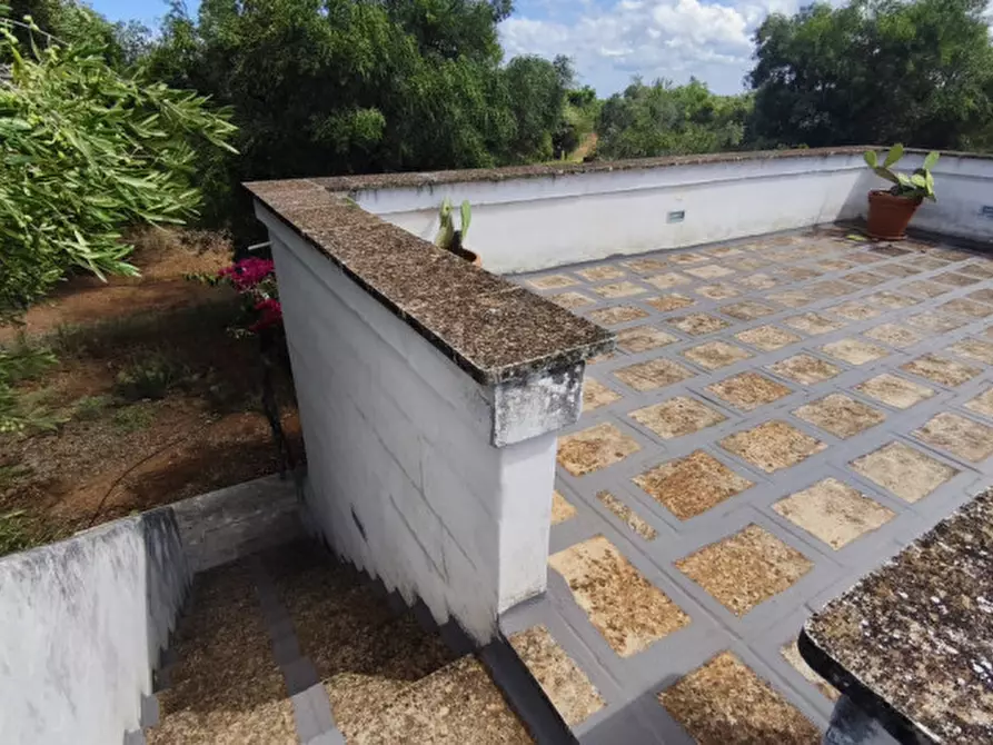 Immagine 10 di Casa indipendente in vendita  in San Domenico a Fasano