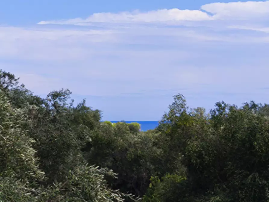 Immagine 12 di Casa indipendente in vendita  in San Domenico a Fasano