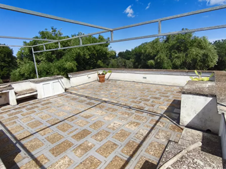 Immagine 13 di Casa indipendente in vendita  in San Domenico a Fasano