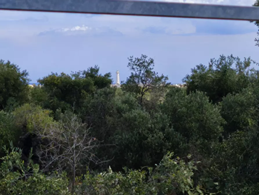Immagine 14 di Casa indipendente in vendita  in San Domenico a Fasano