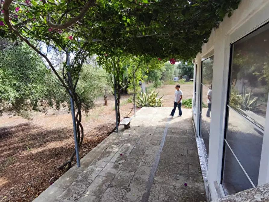 Immagine 18 di Casa indipendente in vendita  in San Domenico a Fasano