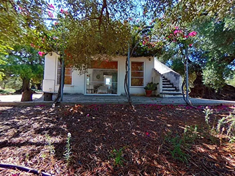 Immagine 19 di Casa indipendente in vendita  in San Domenico a Fasano