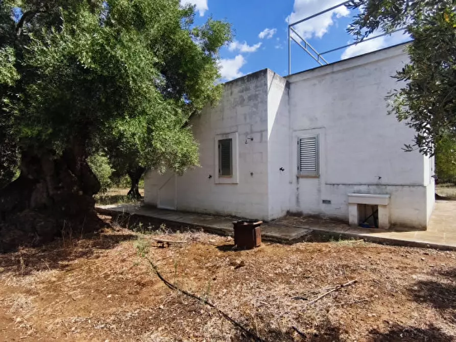 Immagine 46 di Casa indipendente in vendita  in San Domenico a Fasano