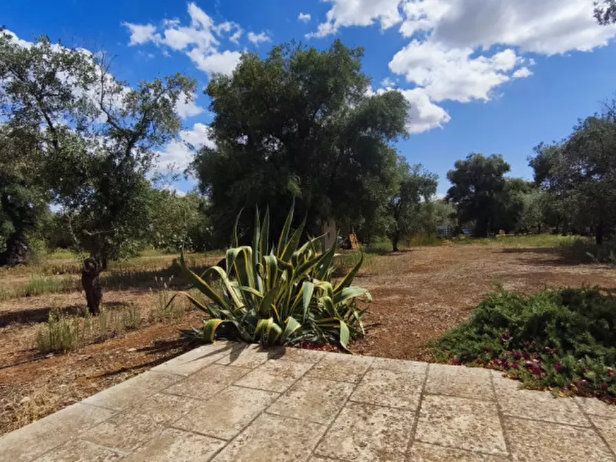 Immagine 48 di Casa indipendente in vendita  in San Domenico a Fasano