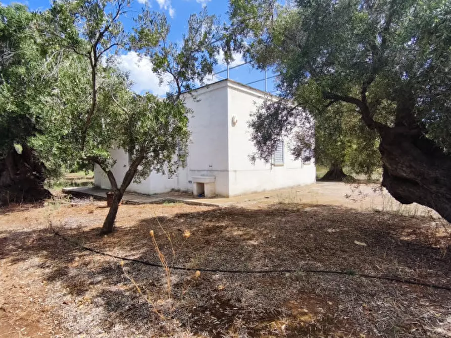 Immagine 49 di Casa indipendente in vendita  in San Domenico a Fasano