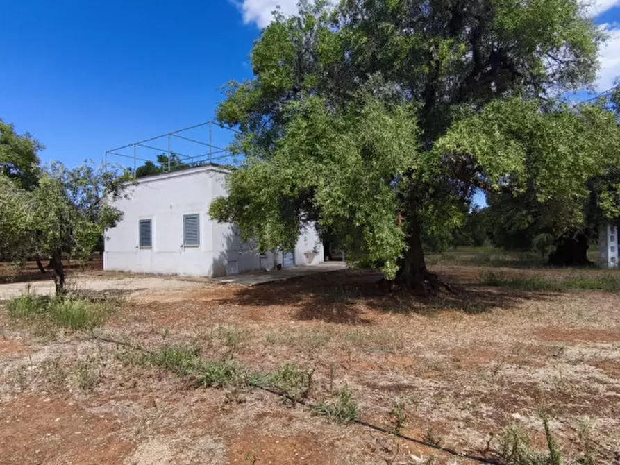 Immagine 50 di Casa indipendente in vendita  in San Domenico a Fasano