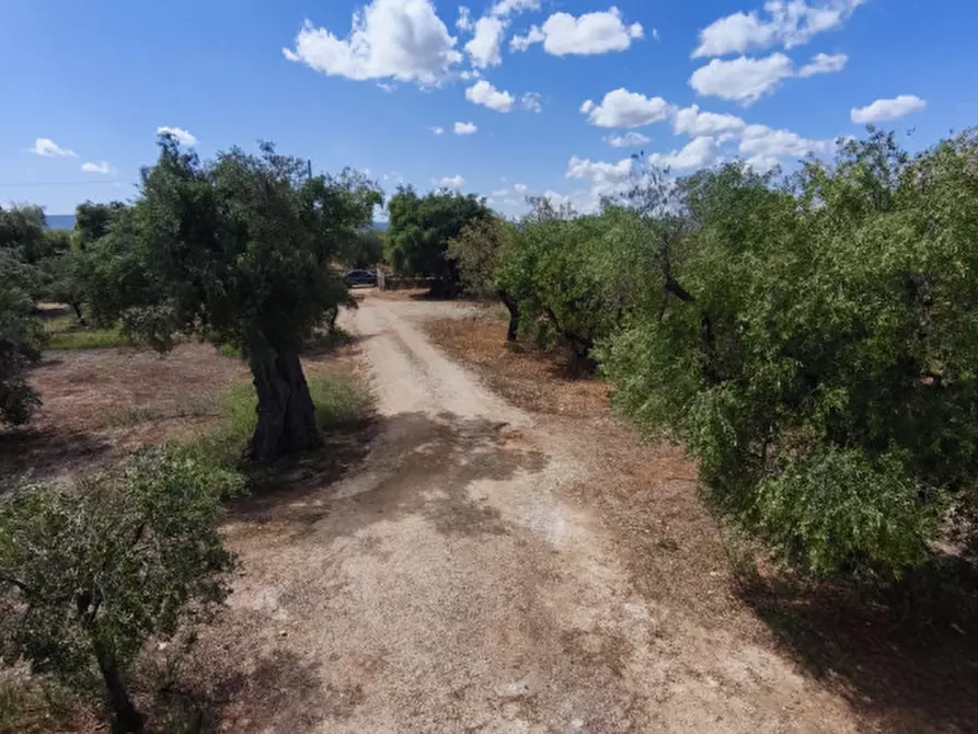 Immagine 56 di Casa indipendente in vendita  in San Domenico a Fasano