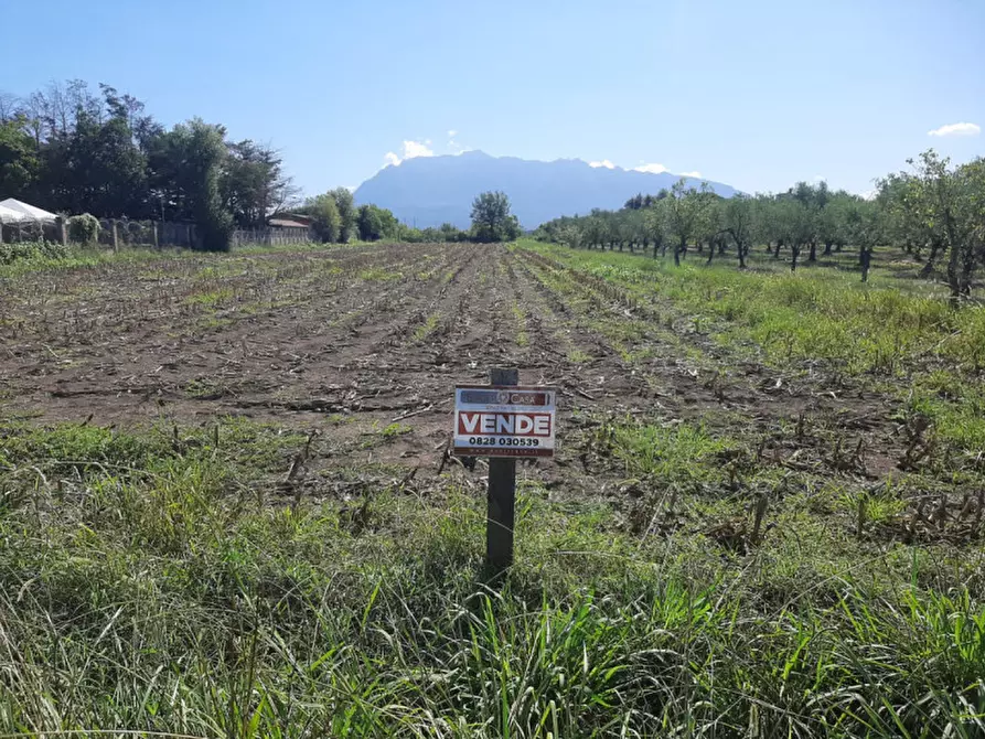 Immagine 3 di Terreno in vendita  in Casarsa Via SanGiovese a Eboli