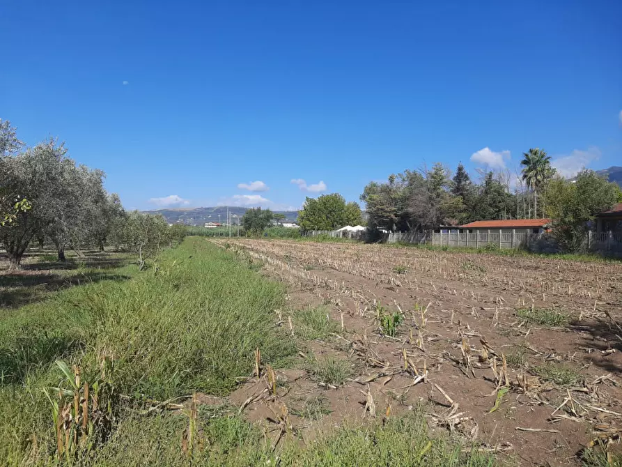Immagine 4 di Terreno in vendita  in Casarsa Via SanGiovese a Eboli