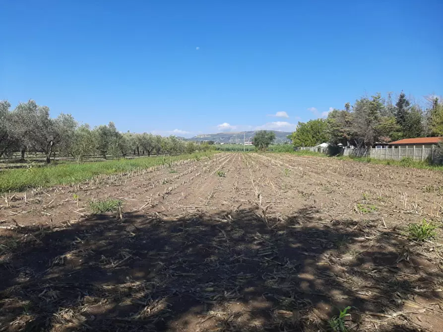 Immagine 5 di Terreno in vendita  in Casarsa Via SanGiovese a Eboli
