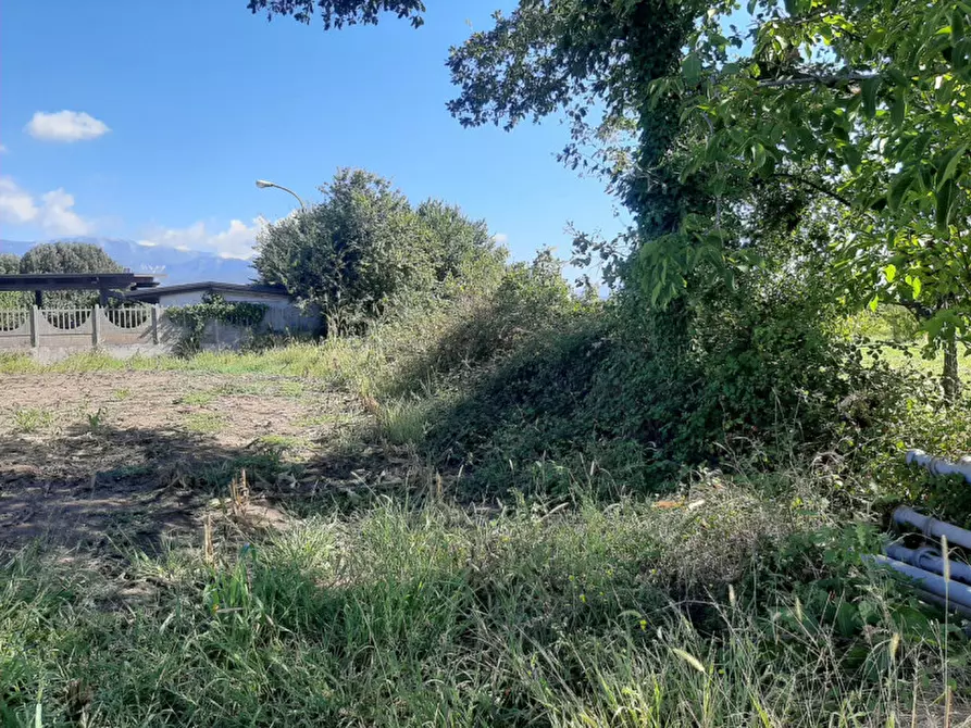 Immagine 6 di Terreno in vendita  in Casarsa Via SanGiovese a Eboli