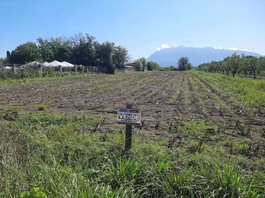 Immagine 8 di Terreno in vendita  in Casarsa Via SanGiovese a Eboli