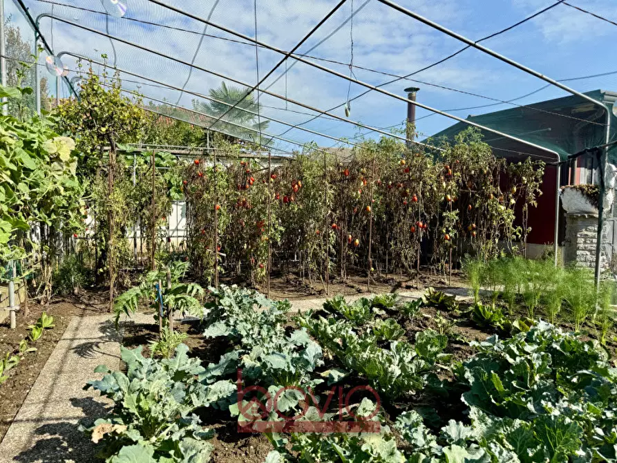 Immagine 105 di Casa bifamiliare in vendita  in VIA CESARE BATTISTI N°9 a Volpiano