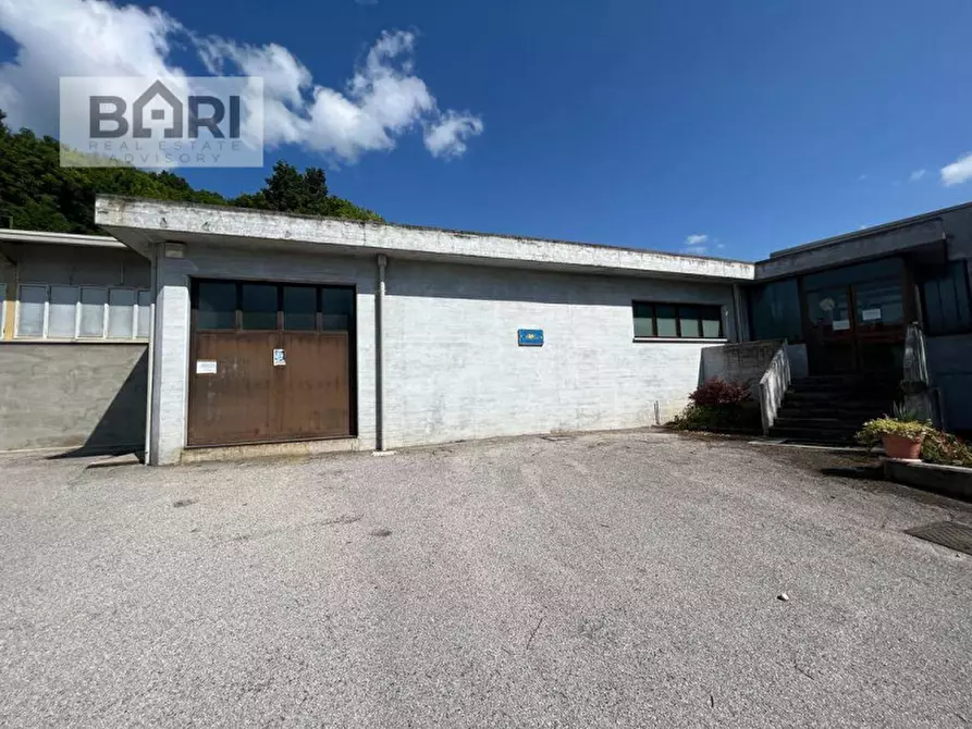 Immagine 18 di Capannone industriale in vendita  in Vicolo Luigi Settembrini a Maniago