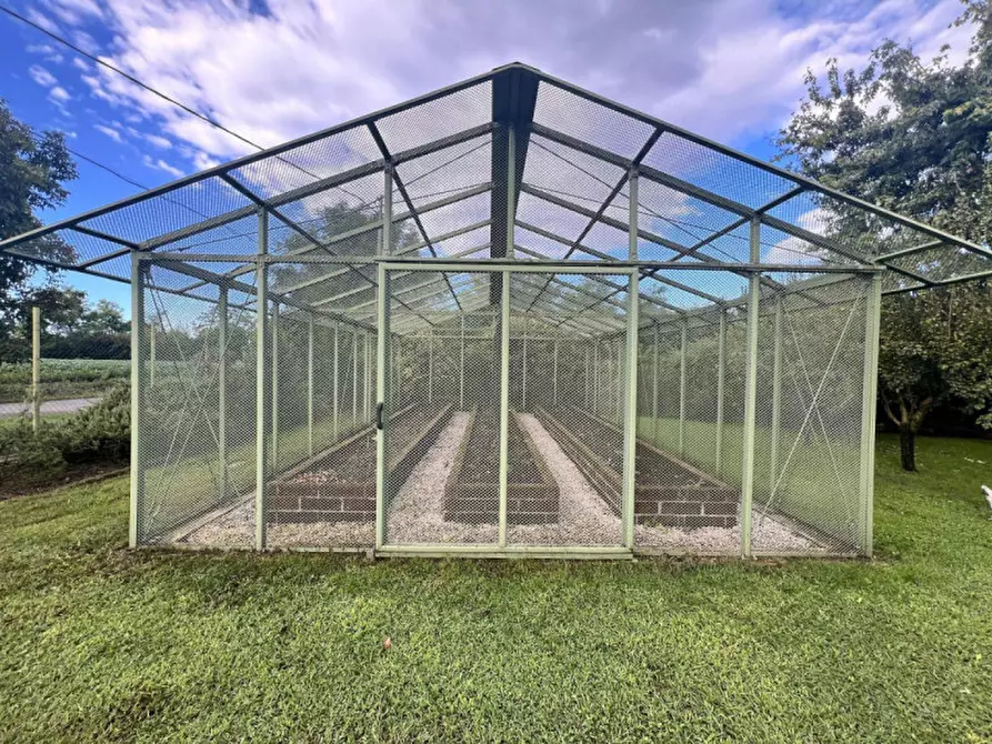 Immagine 7 di Casa indipendente in vendita  in Via Luigi Nono a Fontanafredda