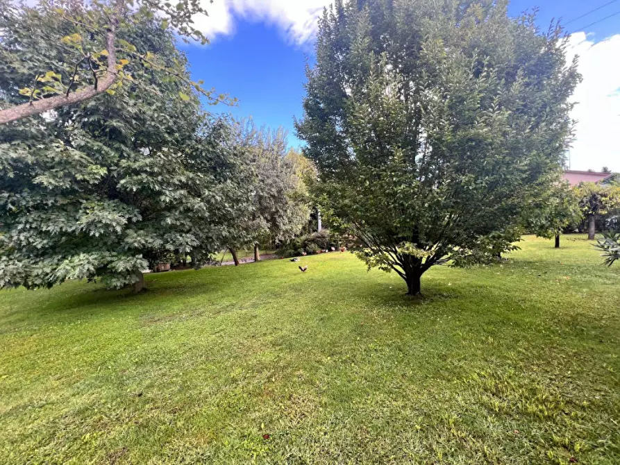 Immagine 8 di Casa indipendente in vendita  in Via Luigi Nono a Fontanafredda