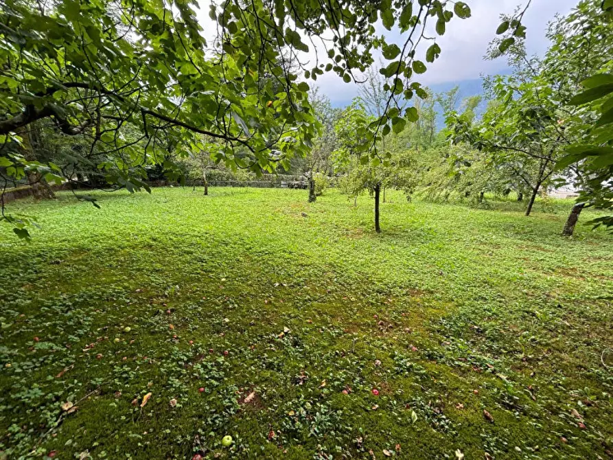 Immagine 19 di Villetta a schiera in vendita  in Via Basilio a Aviano