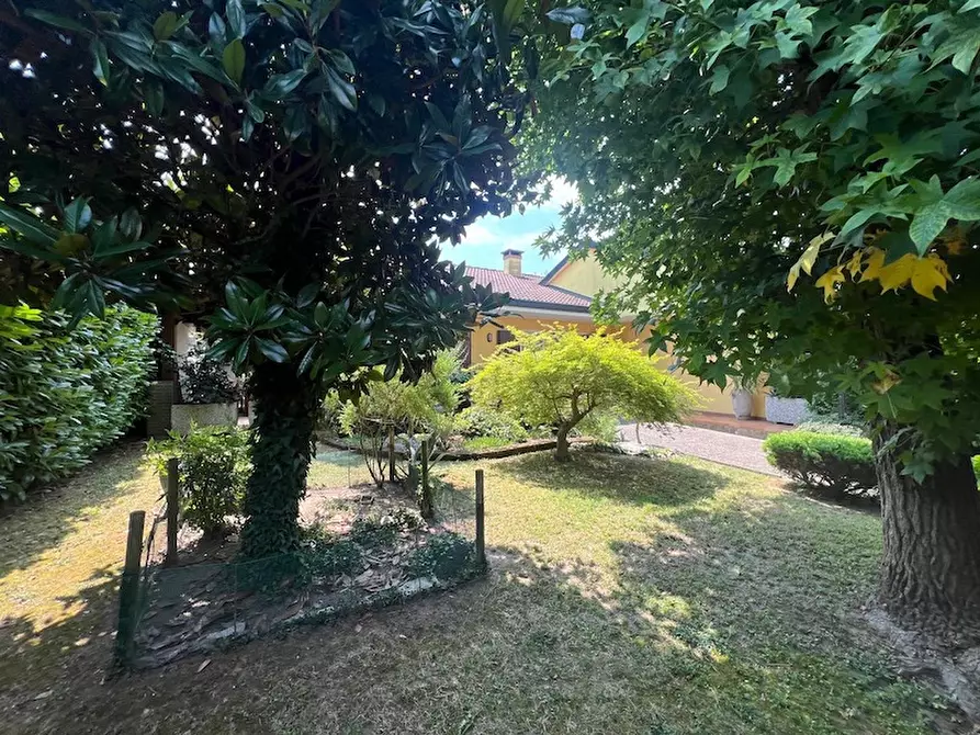 Immagine 10 di Casa trifamiliare in vendita  a Arzergrande