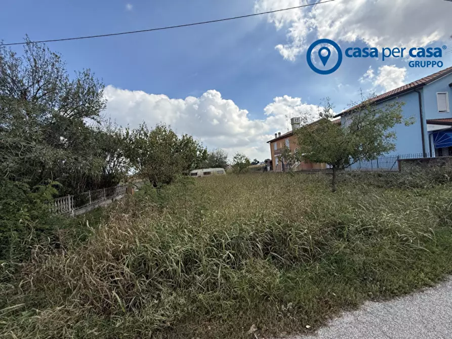 Immagine 3 di Terreno in vendita  in Via Verona a Taglio Di Po