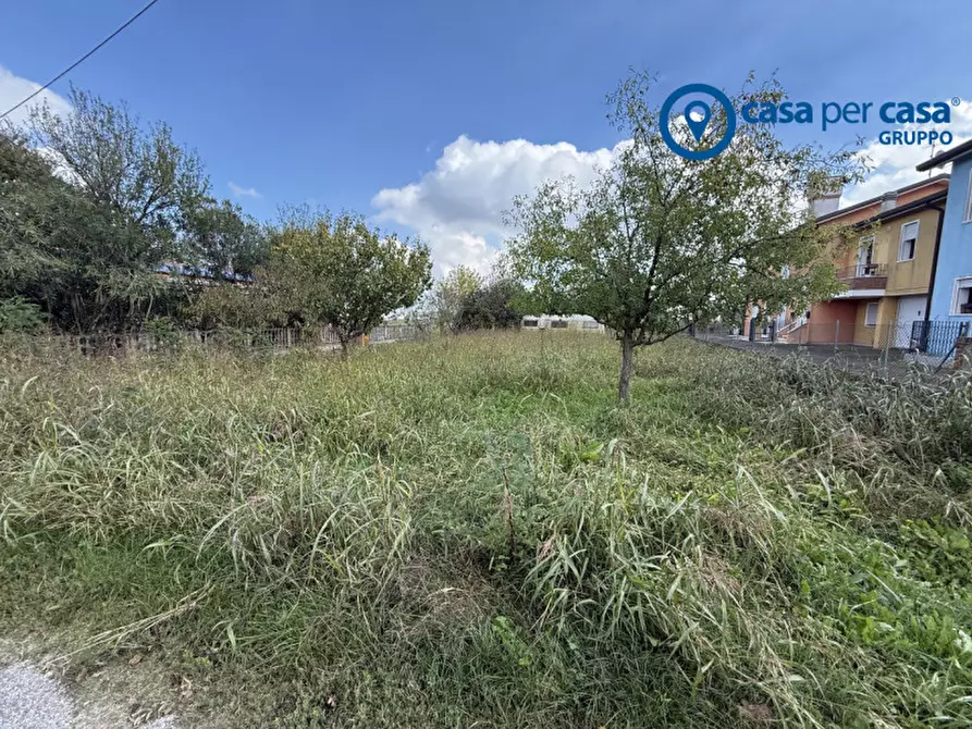 Immagine 4 di Terreno in vendita  in Via Verona a Taglio Di Po