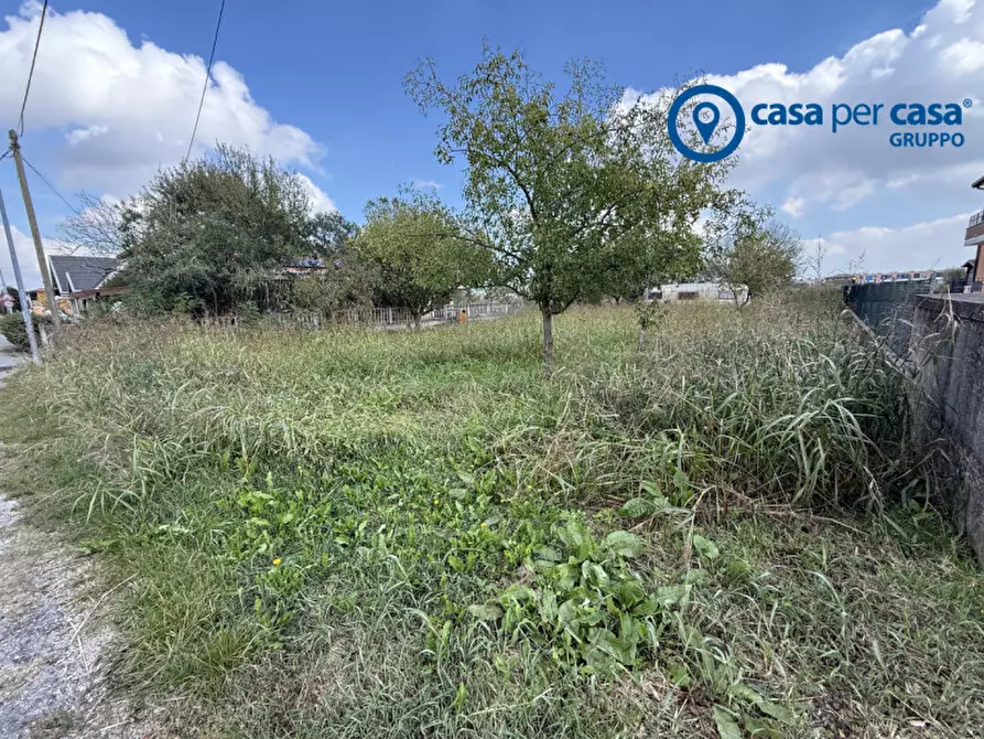 Immagine 5 di Terreno in vendita  in Via Verona a Taglio Di Po