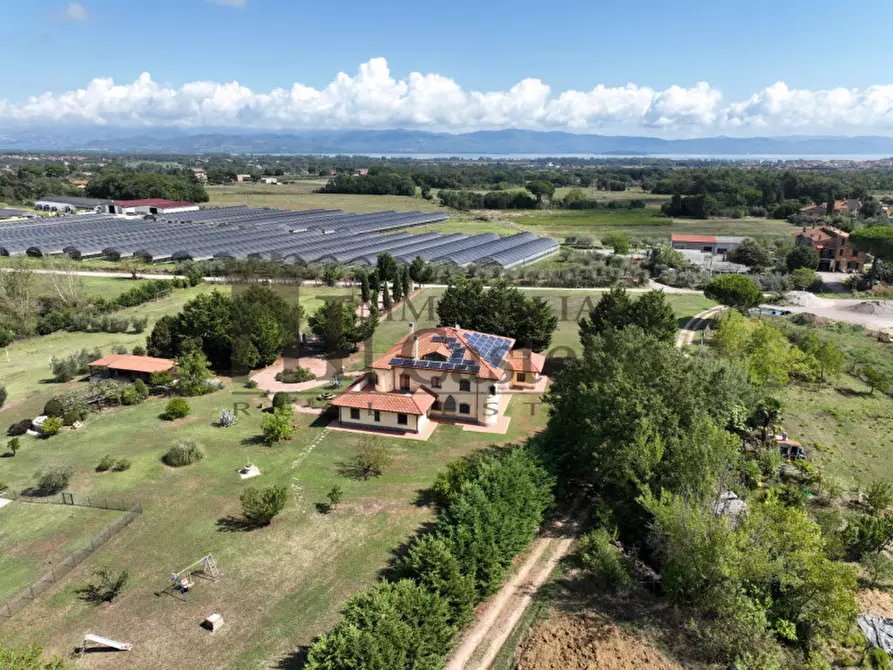 Immagine 6 di Villa in vendita  in Località Nonni a Castiglione Del Lago