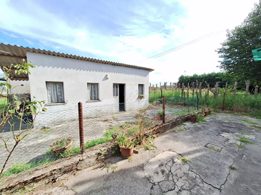 Immagine 5 di Casa indipendente in vendita  a Rovigo