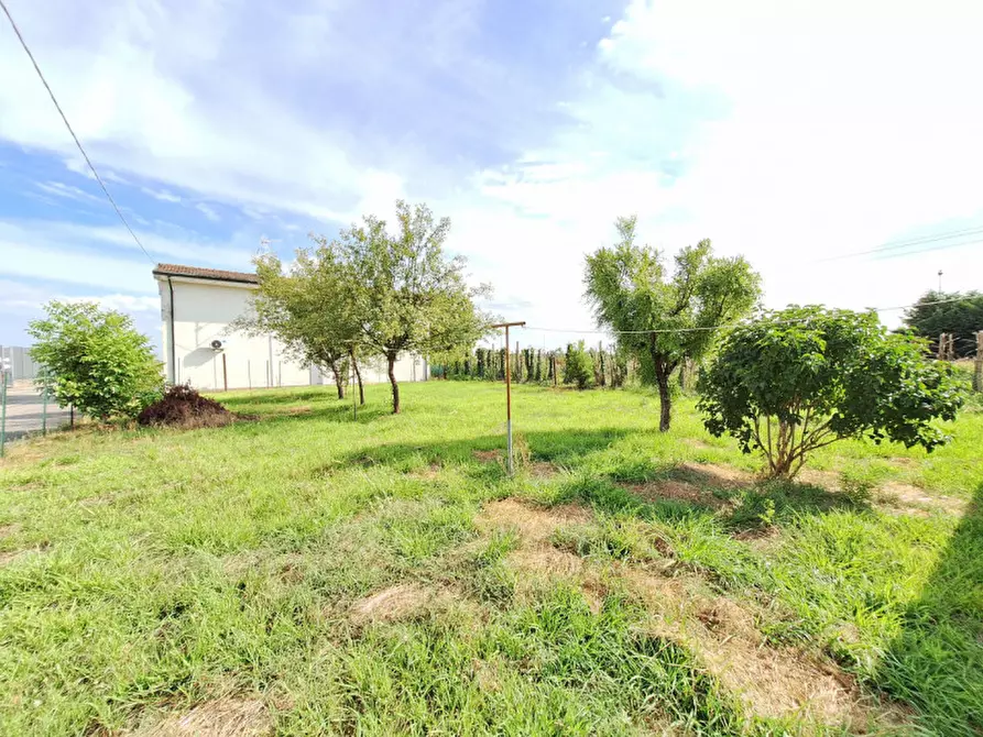 Immagine 7 di Casa indipendente in vendita  a Rovigo