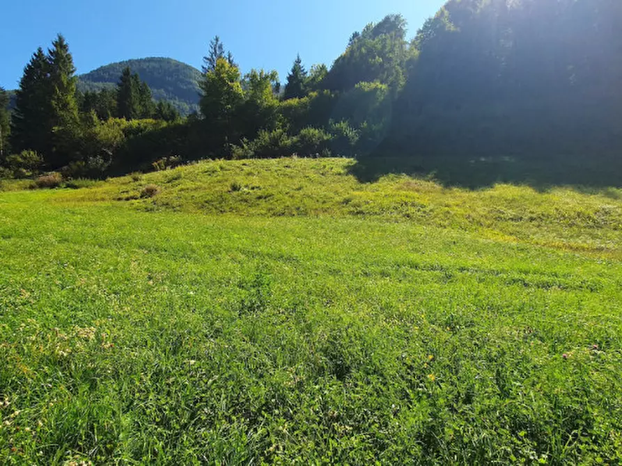 Immagine 4 di Terreno in vendita  in Frazione Saone a Tione Di Trento