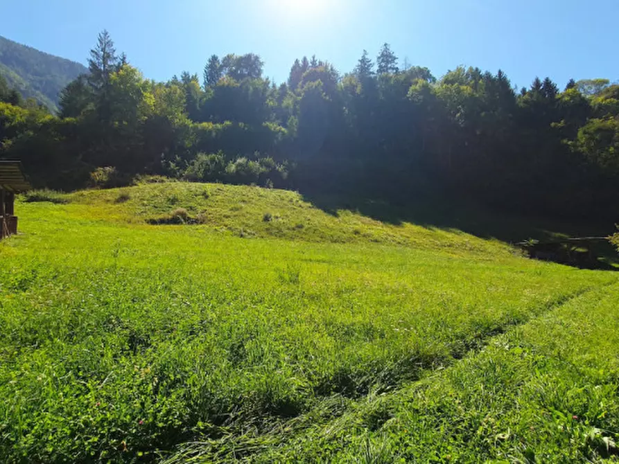 Immagine 8 di Terreno in vendita  in Frazione Saone a Tione Di Trento