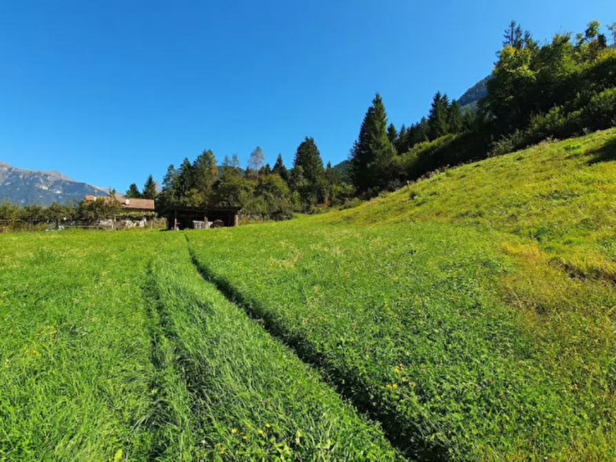 Immagine 10 di Terreno in vendita  in Frazione Saone a Tione Di Trento