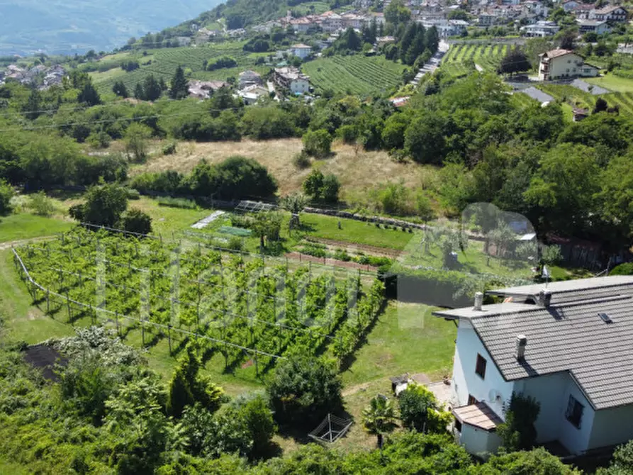 Immagine 12 di Casa indipendente in vendita  in Villamontagna a Trento
