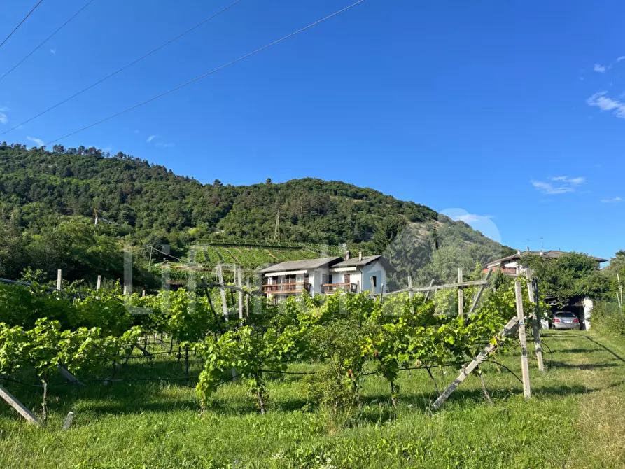 Immagine 15 di Casa indipendente in vendita  in Villamontagna a Trento