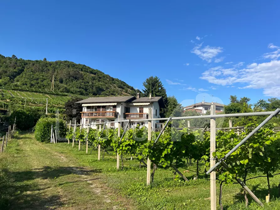 Immagine 15 di Casa indipendente in vendita  in Villamontagna a Trento