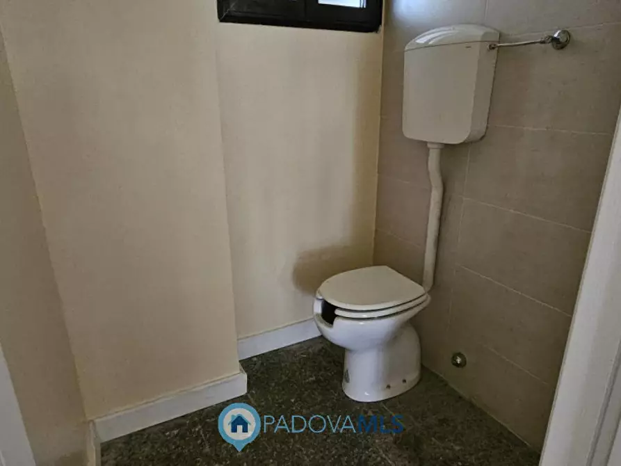 Immagine 6 di Negozio in vendita  in via jacopo facciolati a Padova