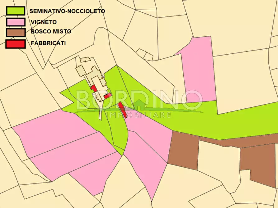 Immagine 27 di Attività commerciale in vendita  in Località Flori snc a Mango