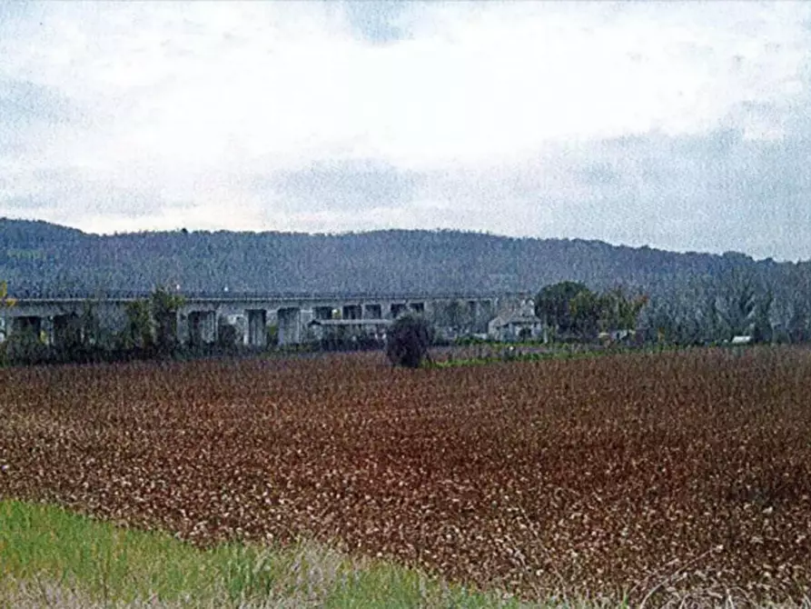 Immagine 4 di Terreno in vendita  in Loc. Casale Marchese a Orte