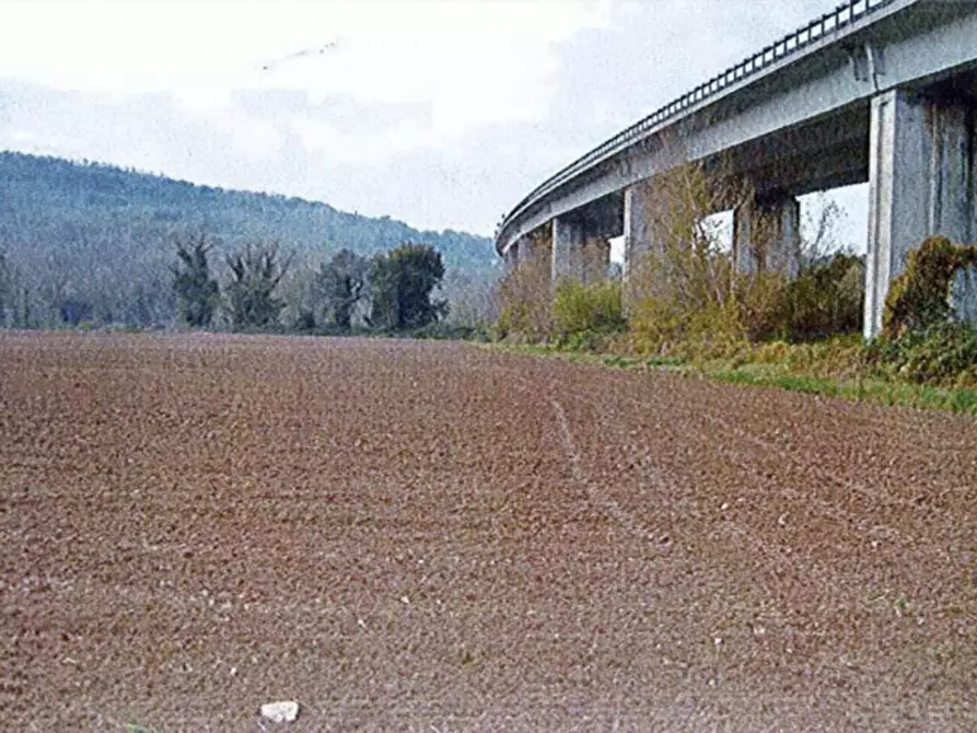 Immagine 5 di Terreno in vendita  in Loc. Casale Marchese a Orte