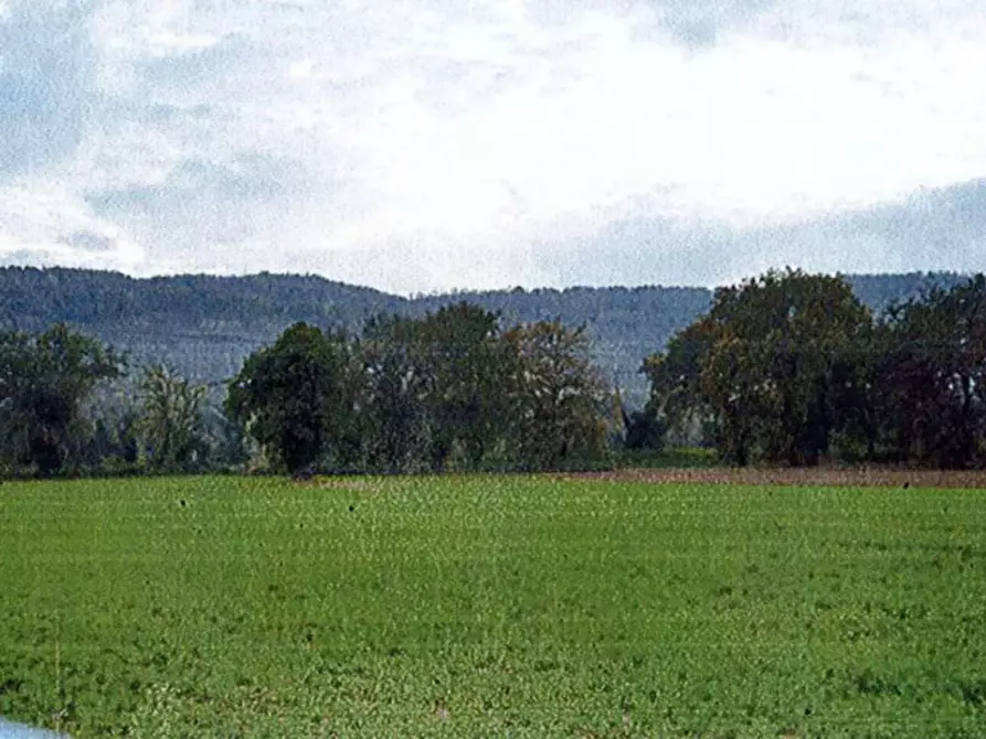 Immagine 8 di Terreno in vendita  in Loc. Casale Marchese a Orte