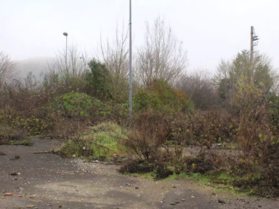 Immagine 1 di Terreno in vendita  in Località Ponte alla Navetta, N. snc a Pontedera