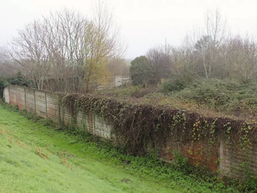 Immagine 2 di Terreno in vendita  in Località Ponte alla Navetta, N. snc a Pontedera
